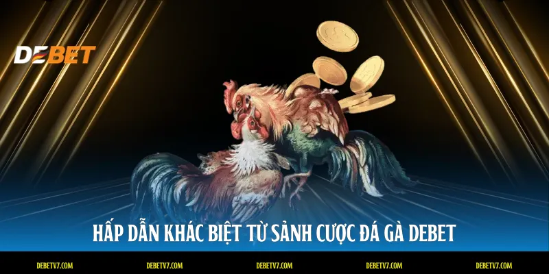 Hấp dẫn khác biệt từ sảnh cược đá gà DEBET